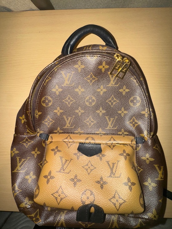 Louis Vuitton Handbags - Louis Vuitton Palm Springs Backpack Reverse Monogram Canvas PM